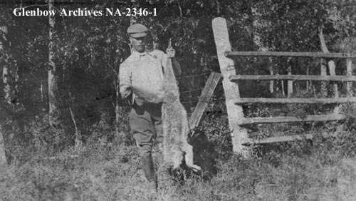 William Beresford with coyote