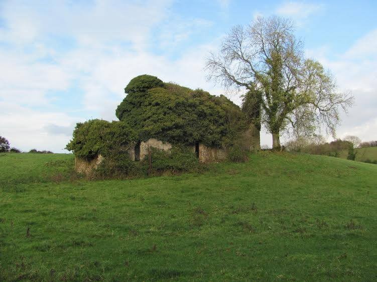 Ruin of Falkland Castle