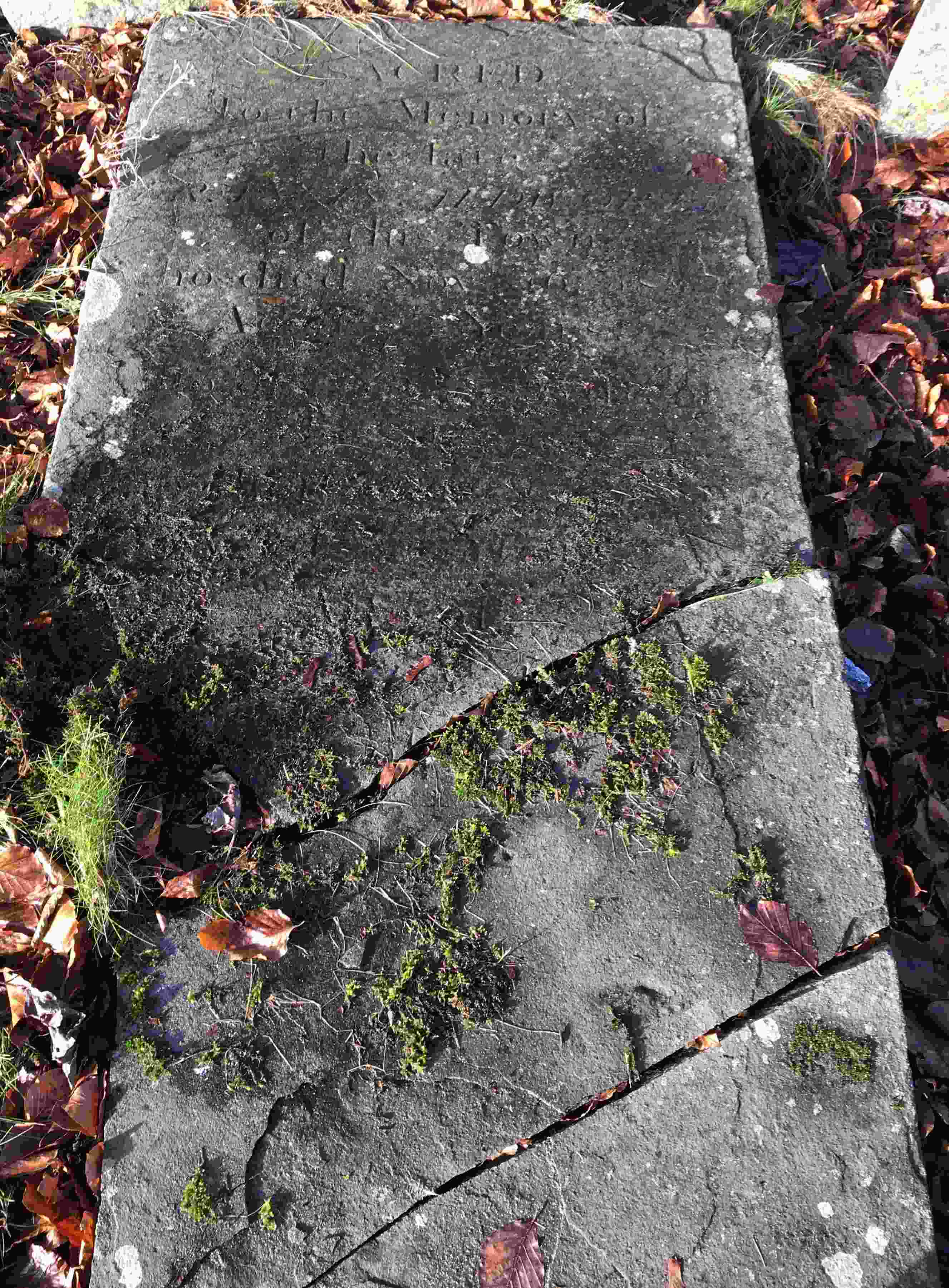 Gravestone of Francis Aldworth