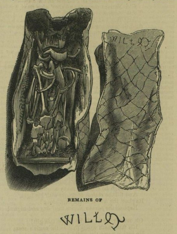 Remains of William de Warenne 1st Earl